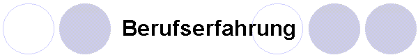 Berufserfahrung