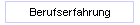 Berufserfahrung